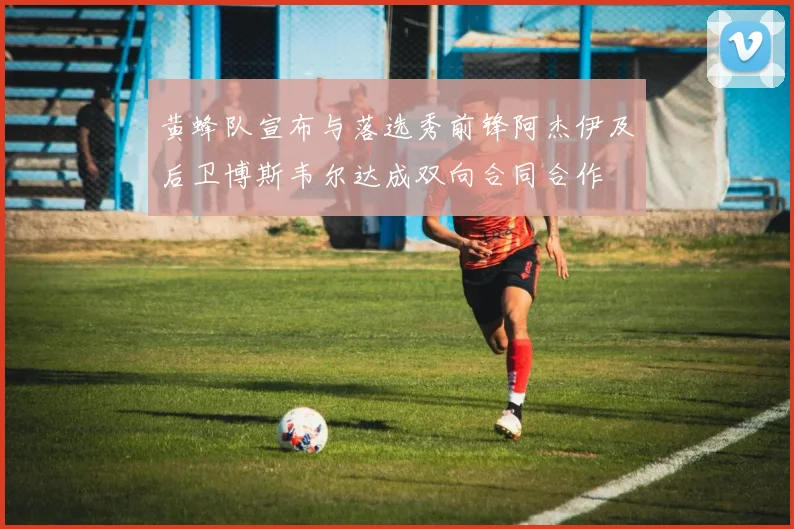 黄蜂队宣布与落选秀前锋阿杰伊及后卫博斯韦尔达成双向合同合作